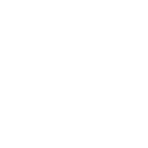 Legal Expertise